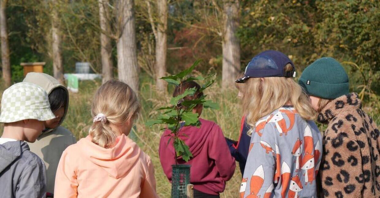 Waldwissen für Kinder stärken – Ausbildung zum Waldcoach fördern